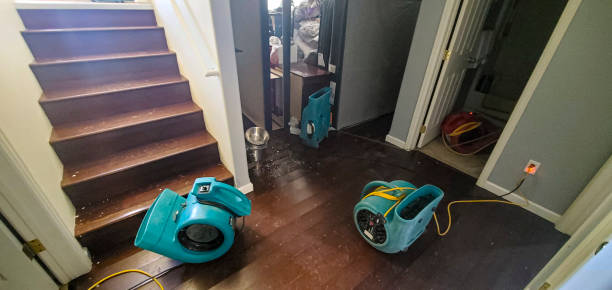 Best Local water damage restoration  in Hopwood, PA