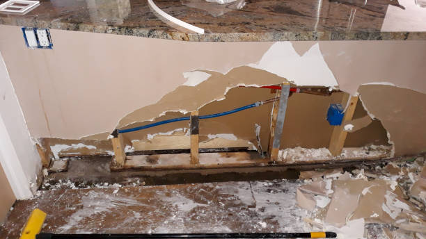 Best Water damage repair service  in Hopwood, PA