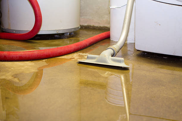 Best Fire Damage Restoration  in Hopwood, PA