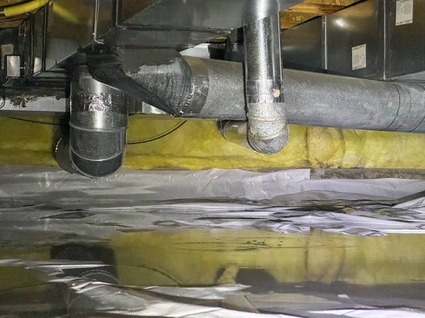 Best Flood damage cleanup  in Hopwood, PA